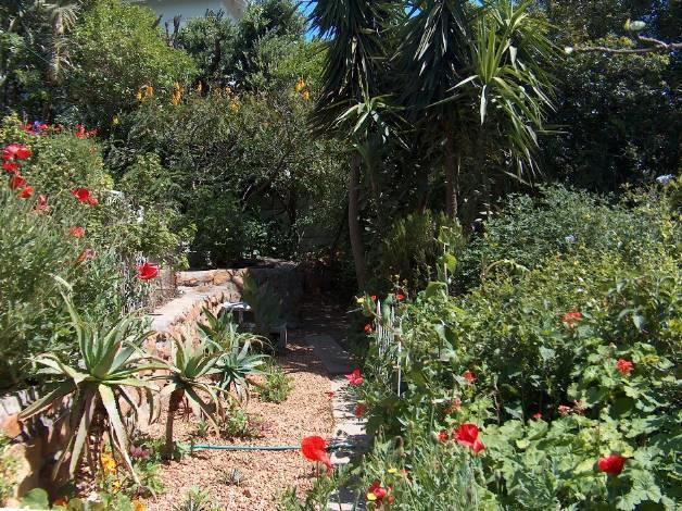Rachel'S Home From Home Cape Town Eksteriør bilde